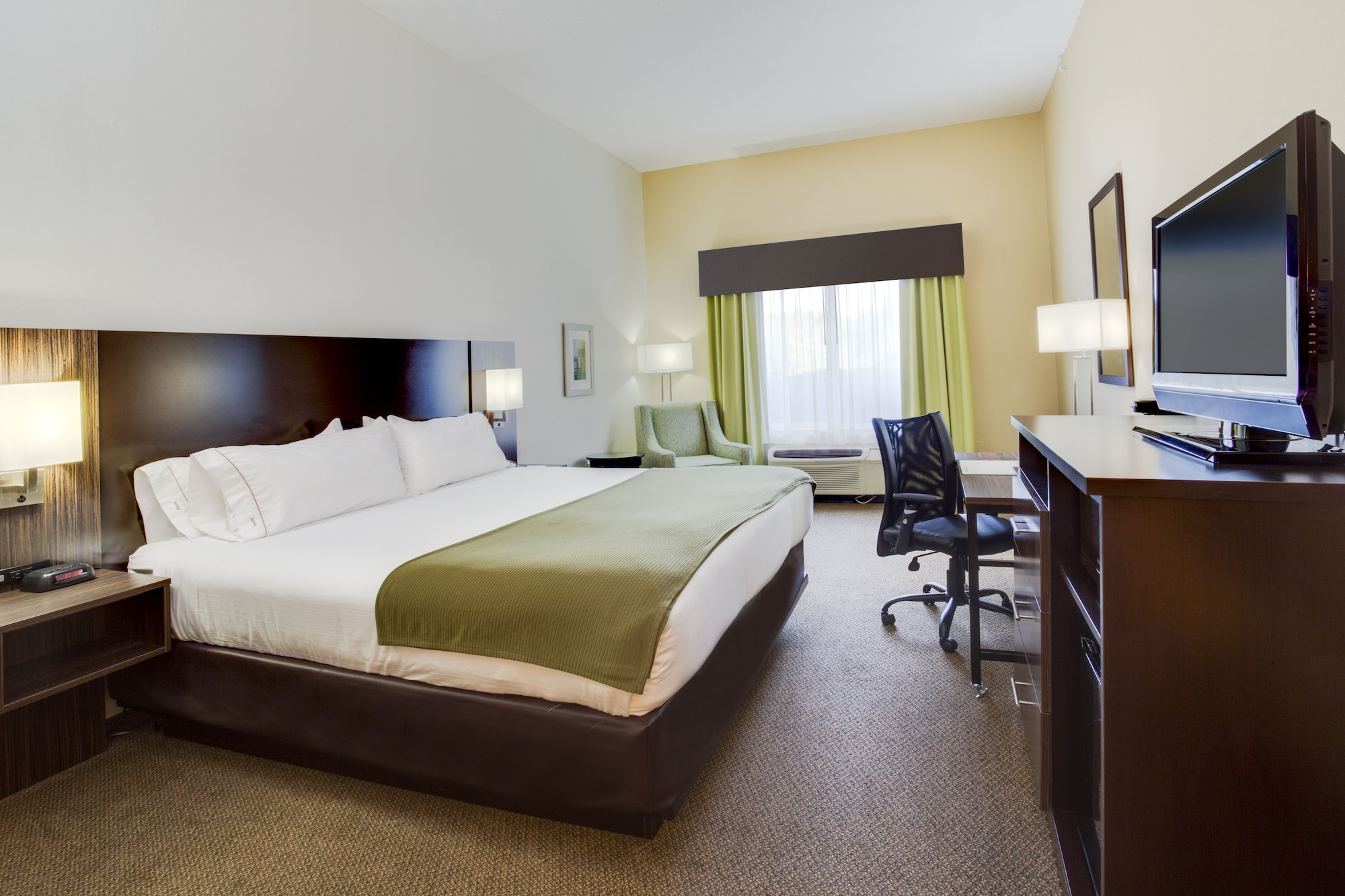 holiday inn express and suites tampa i 75