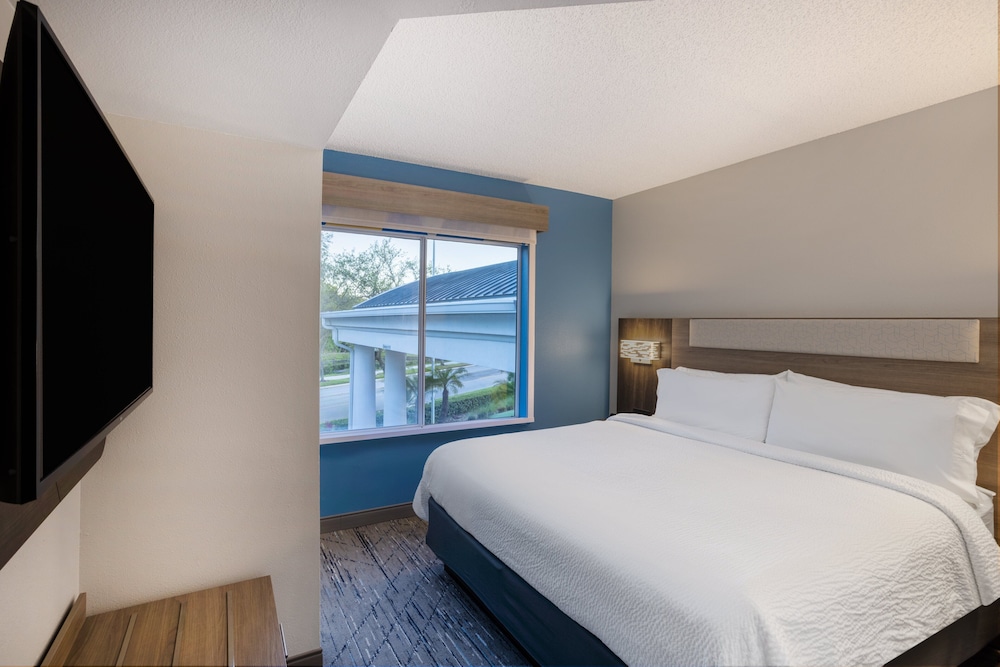 holiday inn express and suites tampa i 75