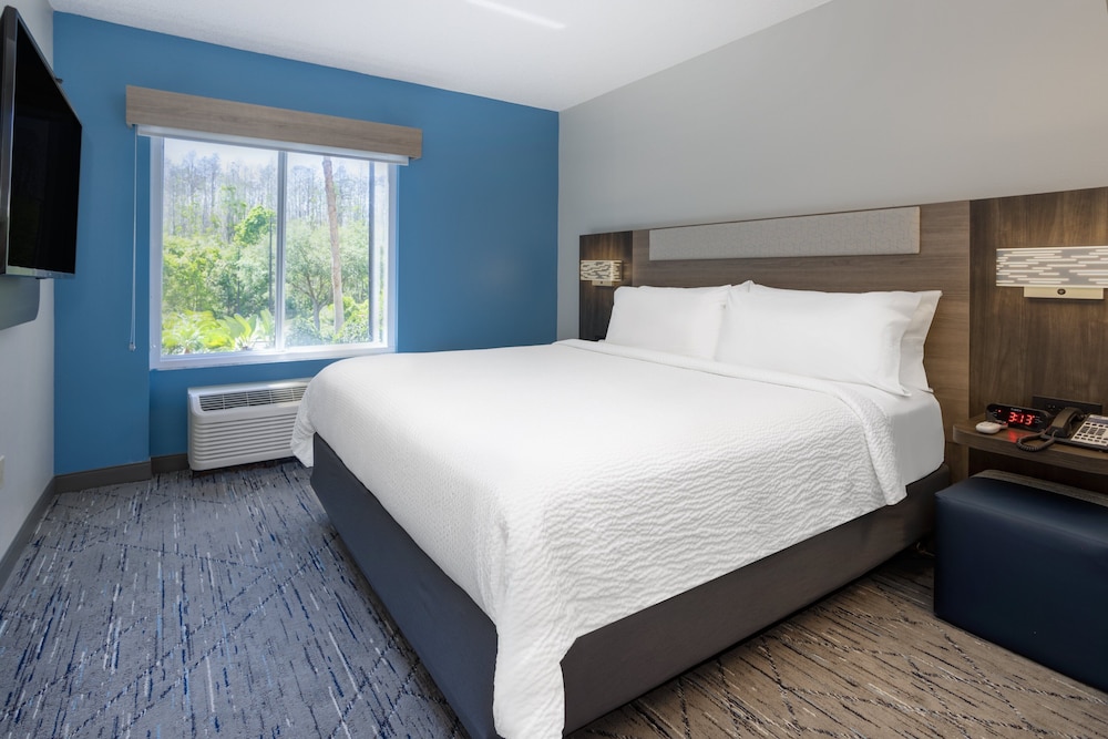 holiday inn express and suites tampa i 75
