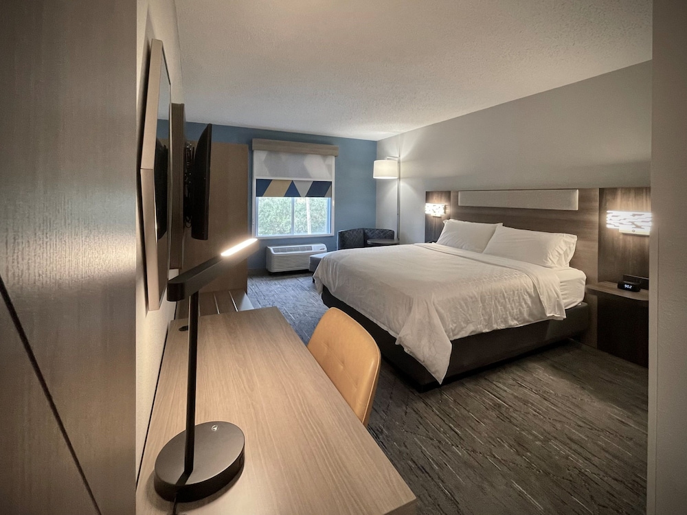 holiday inn express and suites tampa i 75