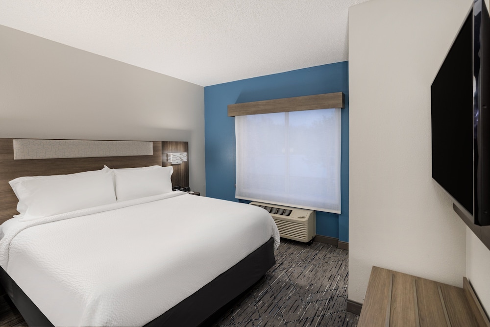 holiday inn express and suites tampa i 75