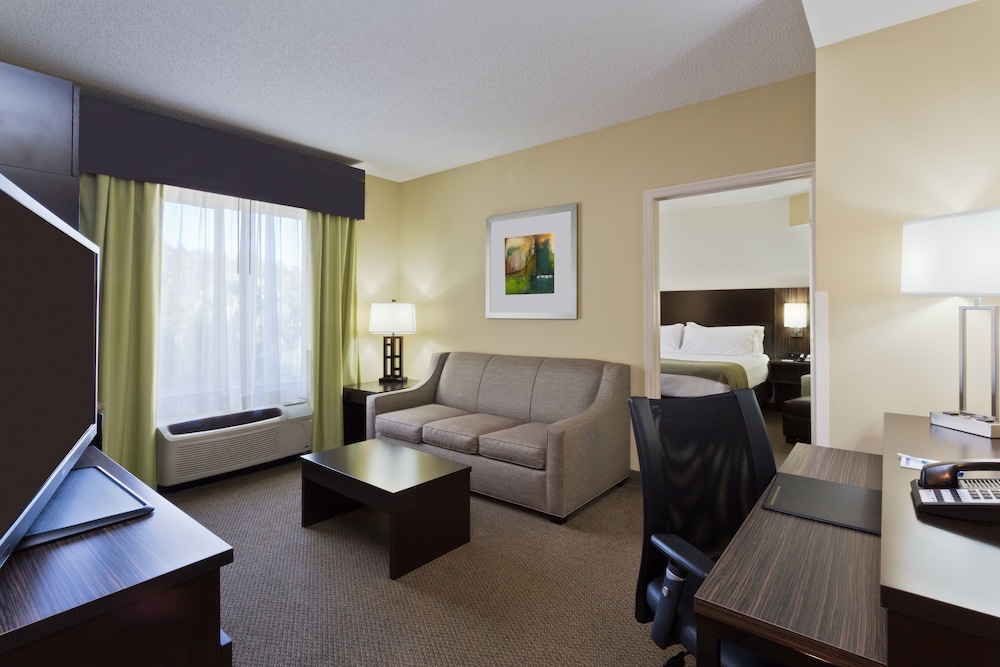 holiday inn express and suites tampa i 75
