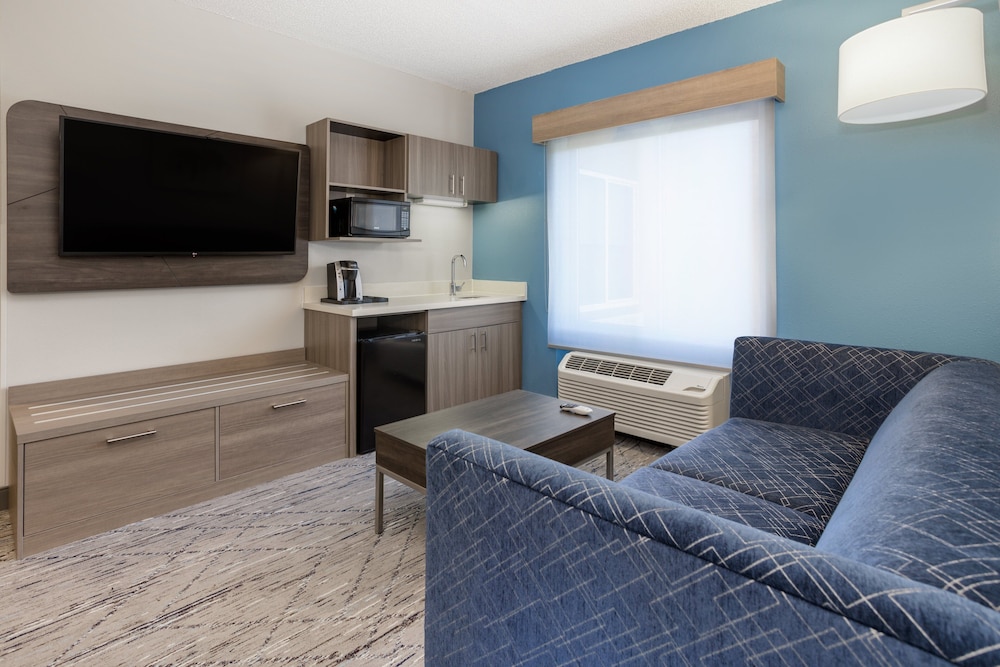 holiday inn express and suites tampa i 75