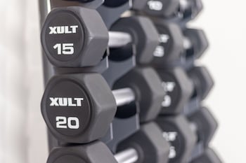 Holiday Inn Express & Suites Tampa-I-75,Tampa>>Pebble Creek,4 star