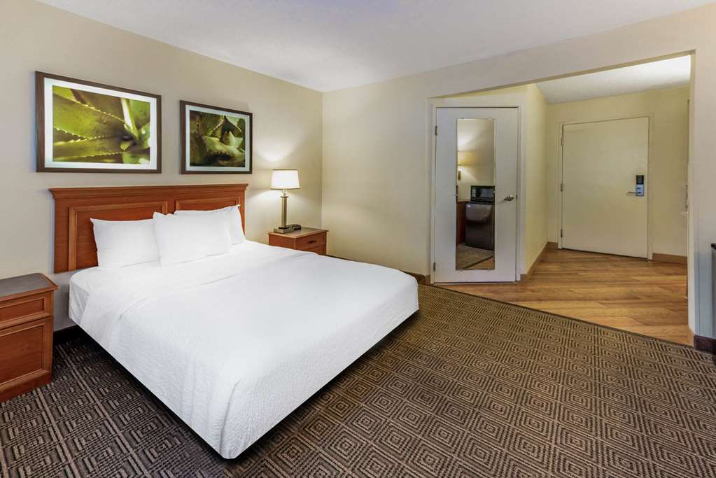 la quinta inn and suites by wyndham tampa brandon west