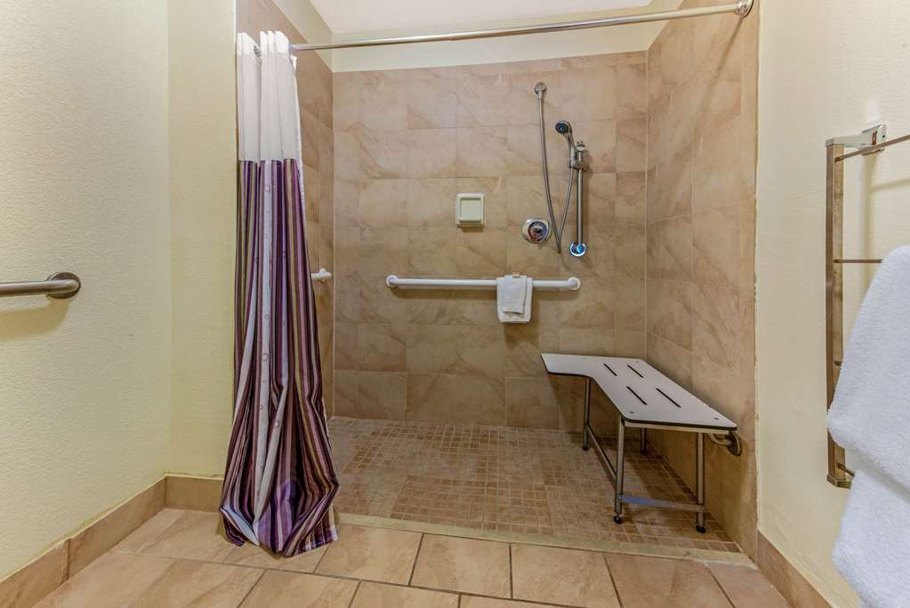 la quinta inn and suites by wyndham tampa brandon west