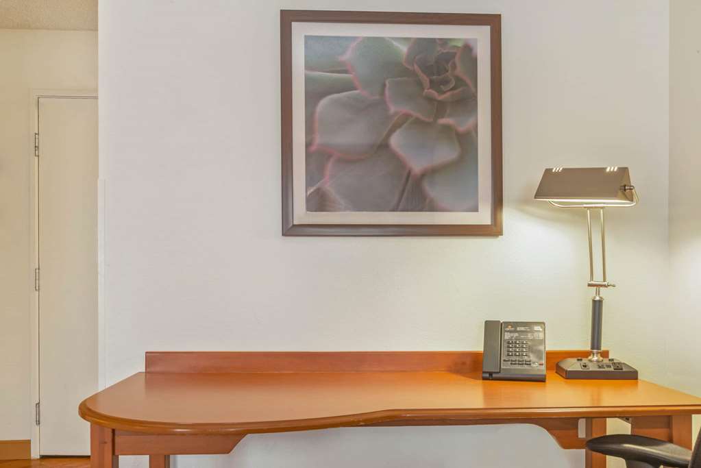 la quinta inn and suites by wyndham tampa brandon west