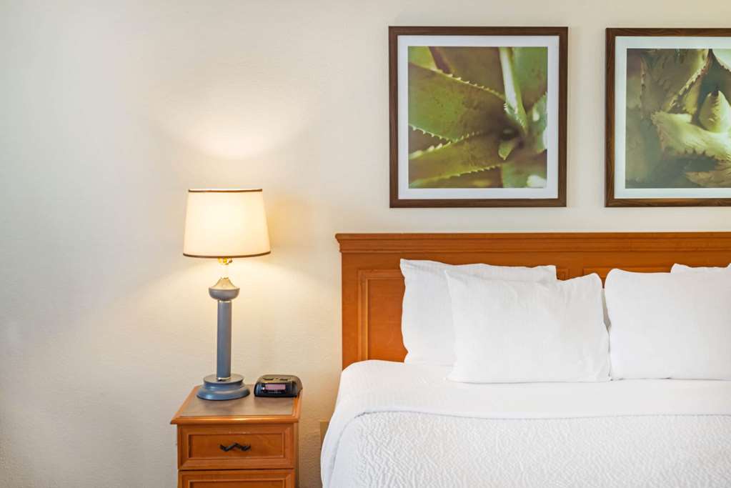 la quinta inn and suites by wyndham tampa brandon west