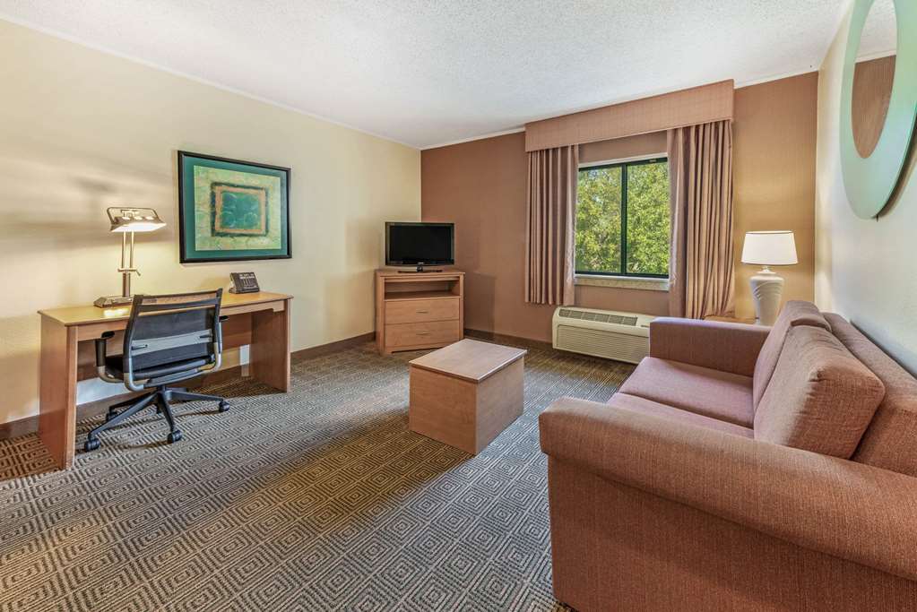 la quinta inn and suites by wyndham tampa brandon west