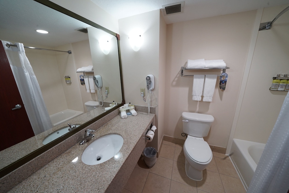 holiday inn express and suites tampa northwest oldsmar