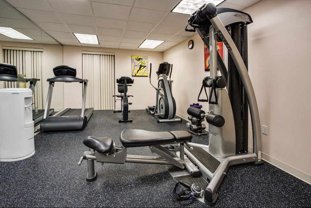 holiday inn express and suites tampa northwest oldsmar