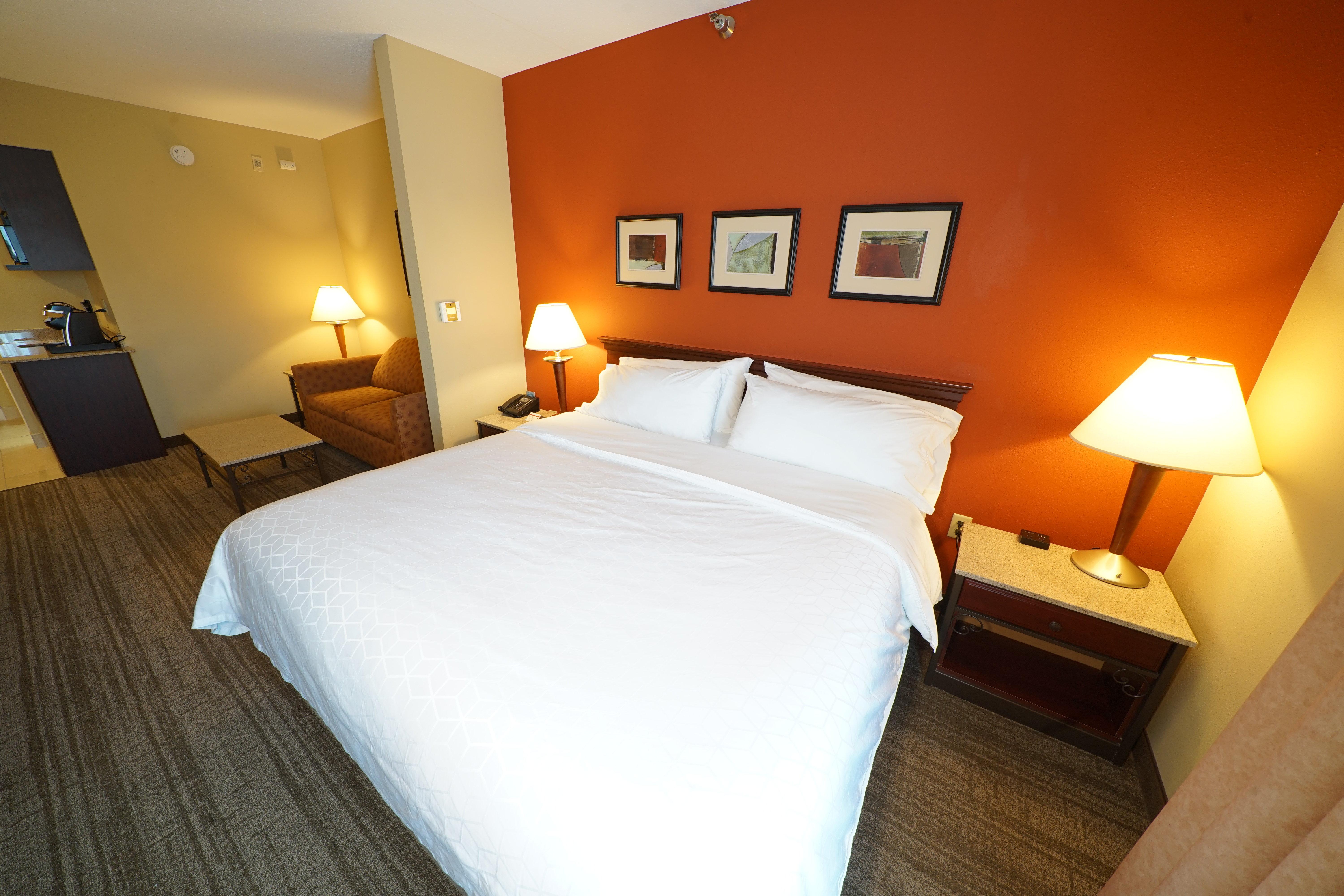 holiday inn express and suites tampa northwest oldsmar