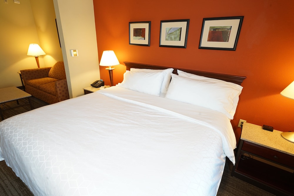 holiday inn express and suites tampa northwest oldsmar