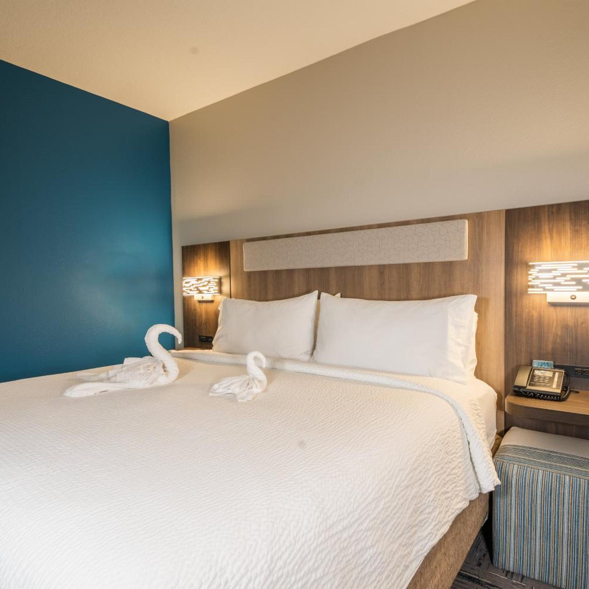 holiday inn express and suites tampa northwest oldsmar