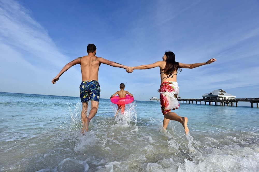 holiday inn express and suites tampa northwest oldsmar