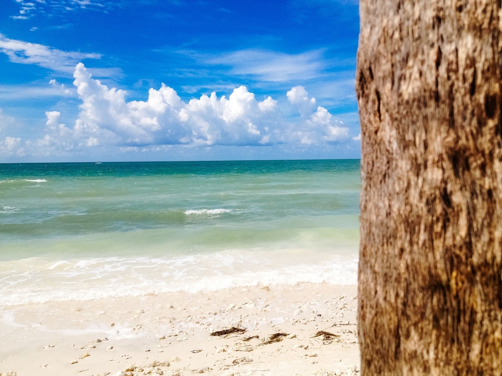 holiday inn express and suites tampa northwest oldsmar