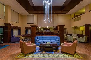 holiday inn express and suites tampa northwest oldsmar