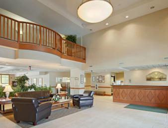 spark by hilton rock hill