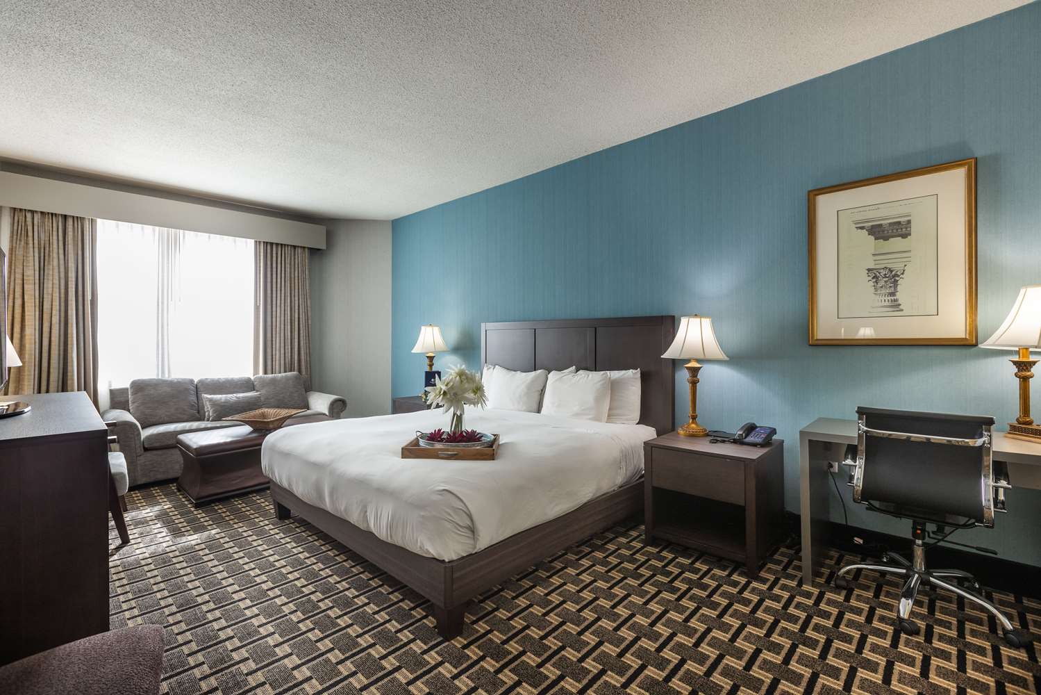 inn at the colonnade baltimore a doubletree by hilton