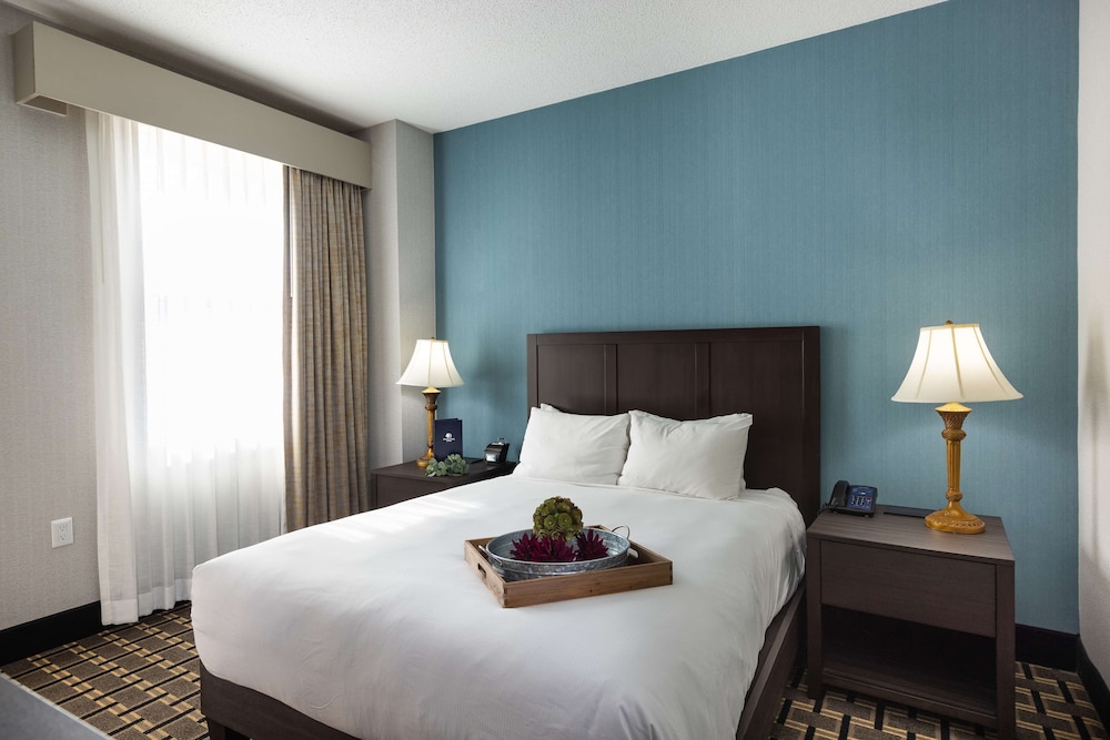 inn at the colonnade baltimore a doubletree by hilton