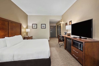comfort inn fort myers northeast