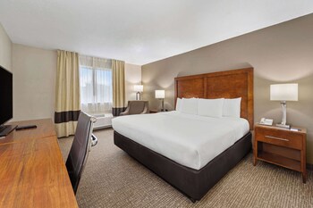 comfort inn fort myers northeast