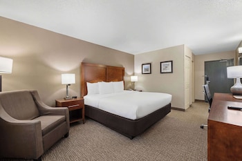 comfort inn fort myers northeast