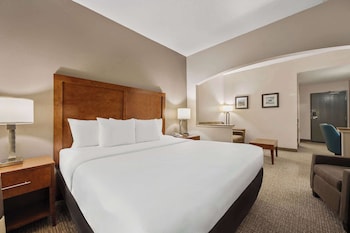 comfort inn fort myers northeast