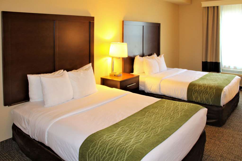 comfort inn and suites chesterfield st louis