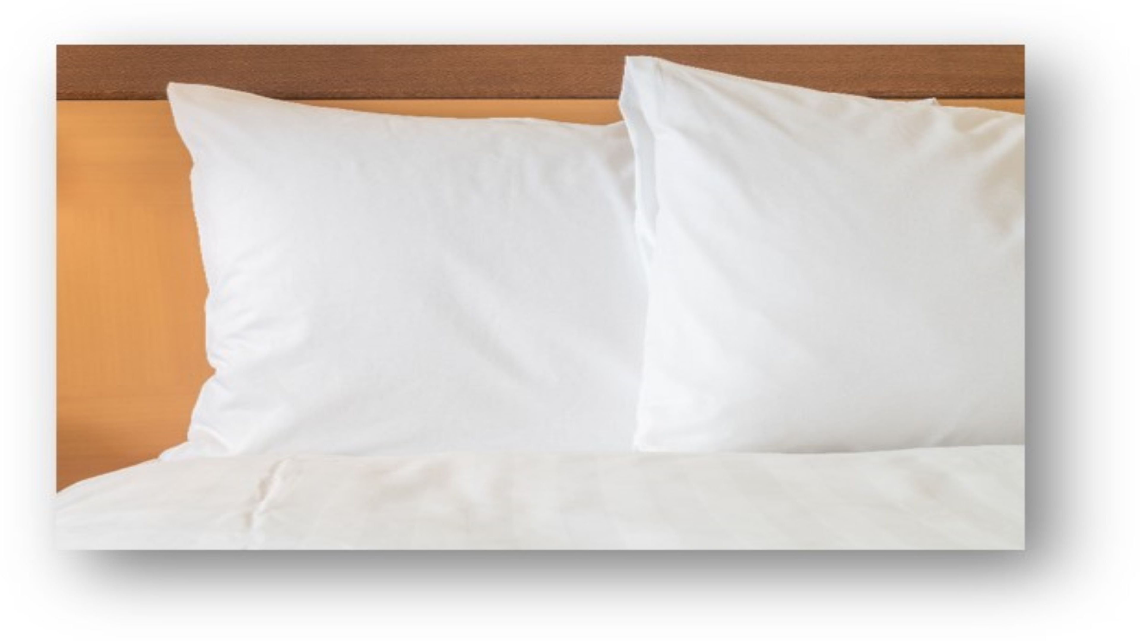 holiday inn charleston riverview by ihg