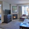 residence inn by marriott detroit novi