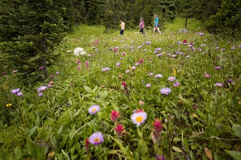 sunshine mountain lodge