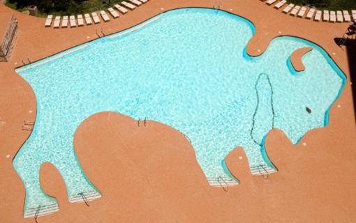 buffalo bills resort and casino