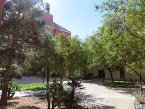 buffalo bills resort and casino