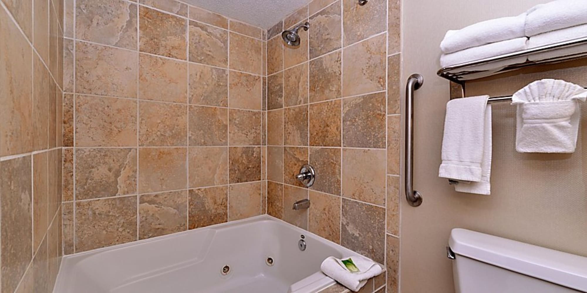 holiday inn express suite w airport area
