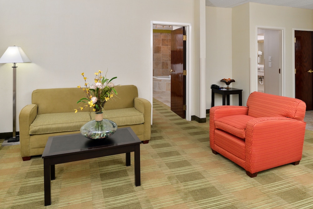 holiday inn express suite w airport area
