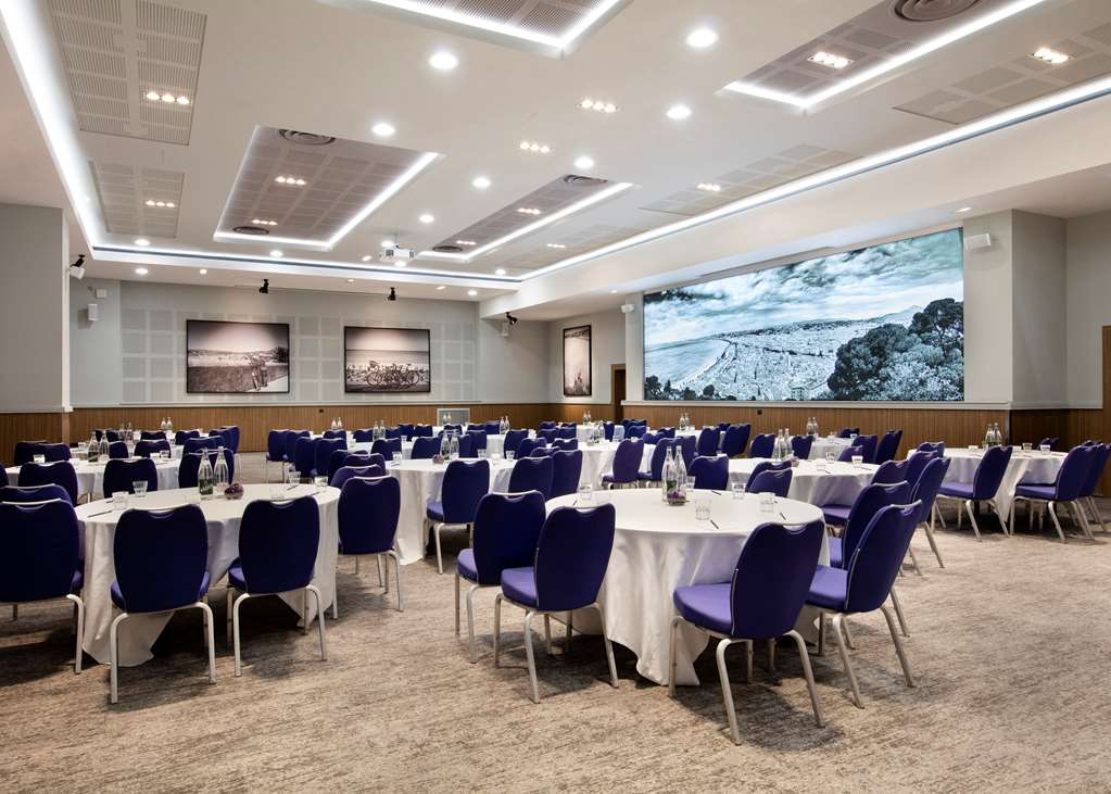 radisson blu hotel nice