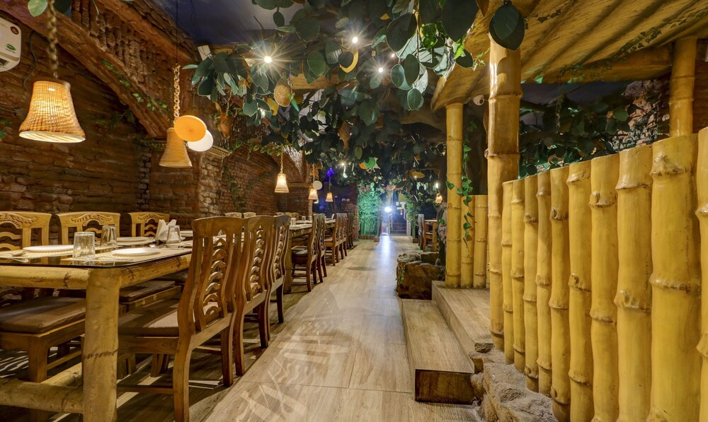 treebo dreamland guest house