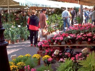 mercure nice marche aux fleurs