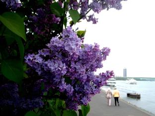 cologne