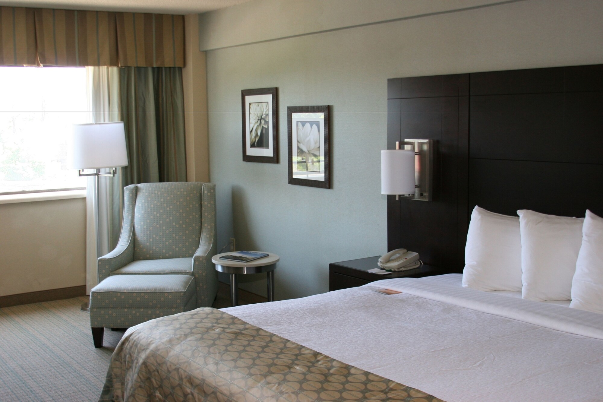 holiday inn virginia beach norfolk by ihg