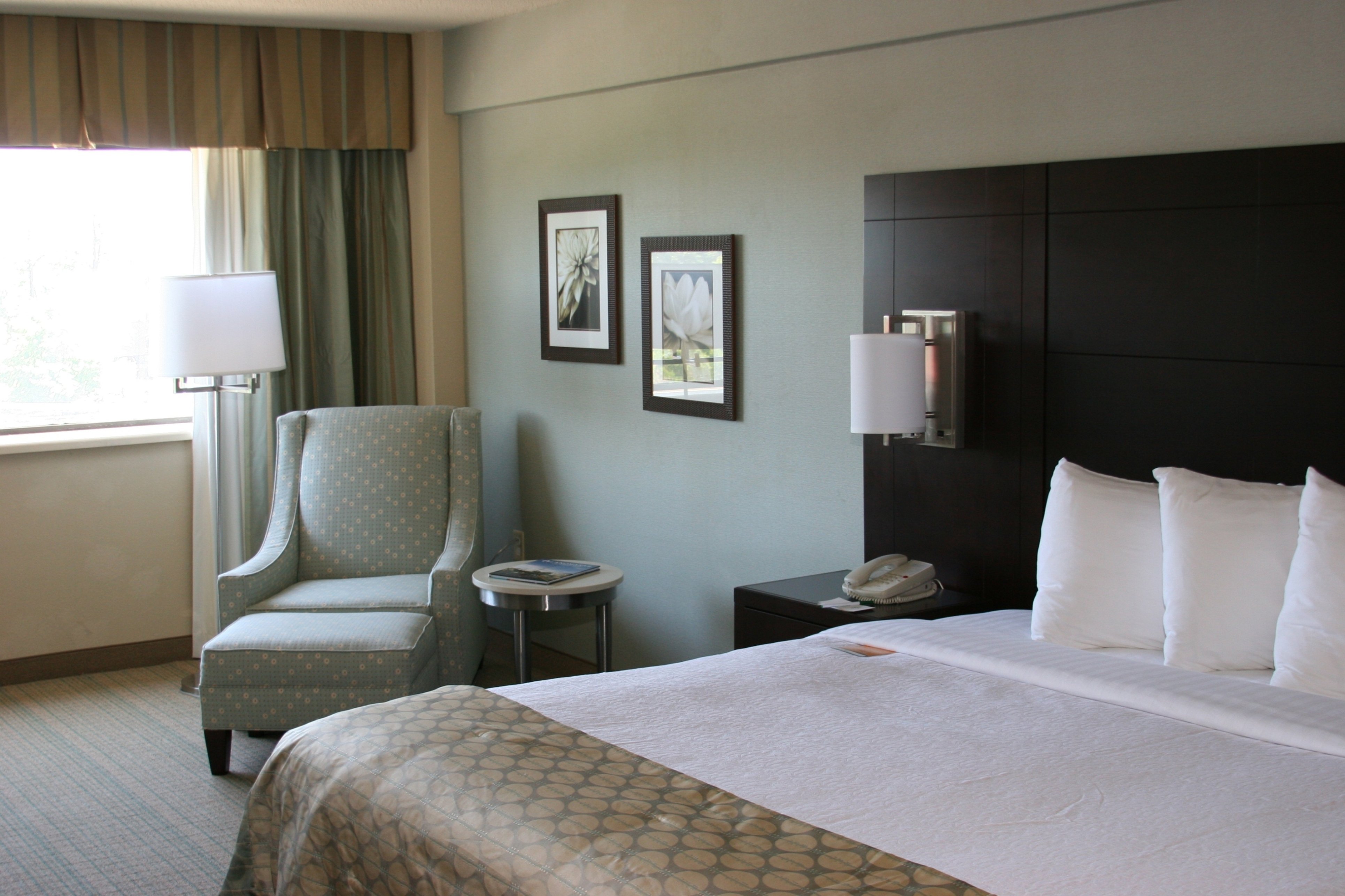 holiday inn virginia beach norfolk by ihg