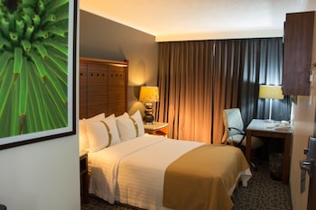 holiday inn ciudad de mexico trade center by ihg