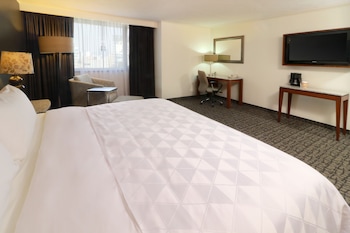 holiday inn ciudad de mexico trade center by ihg