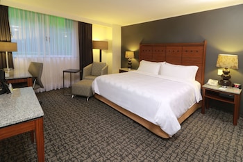 holiday inn ciudad de mexico trade center by ihg