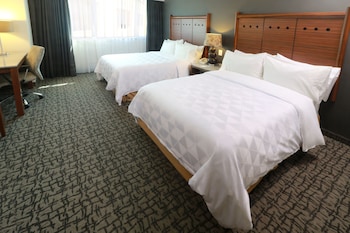 holiday inn ciudad de mexico trade center by ihg