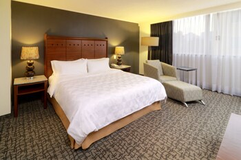 holiday inn ciudad de mexico trade center by ihg