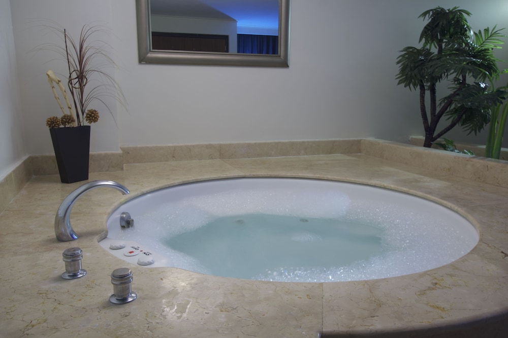 holiday inn ciudad de mexico trade center by ihg