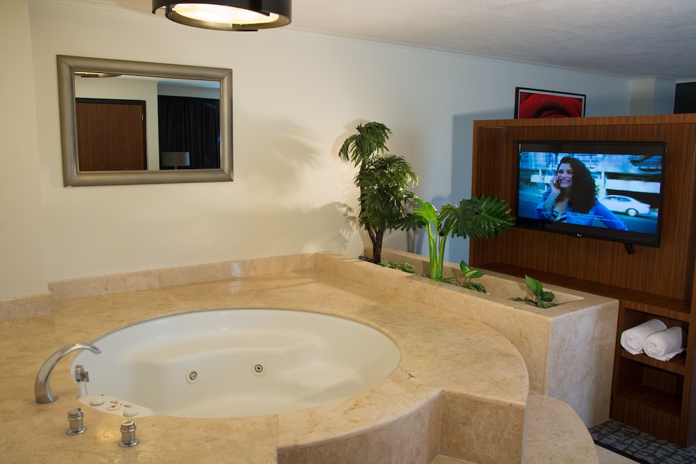 holiday inn ciudad de mexico trade center by ihg