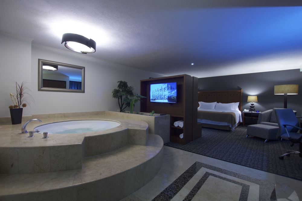 holiday inn ciudad de mexico trade center by ihg